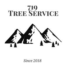719 Tree & Stump Removal